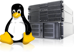 Self-Managed Linux VPS Hosting